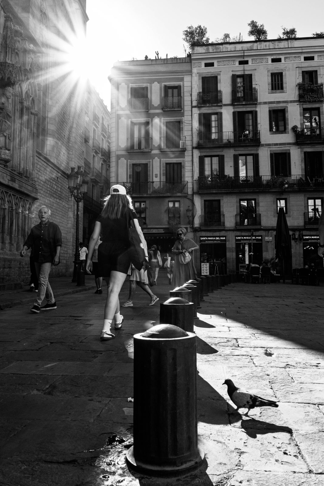 Todas las fotografías